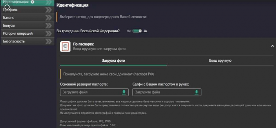 Pin Up Casino Әлеуметтік Авторизация
