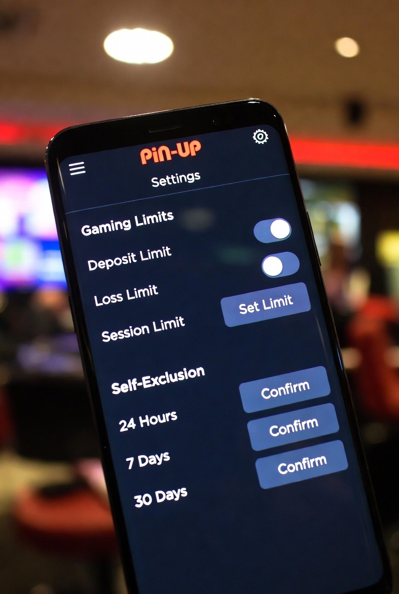 Лимиттер мен өзін-өзі шеттету опцияларымен Pin-Up жеке кабинетіндегі жауапты ойын баптаулары панелі