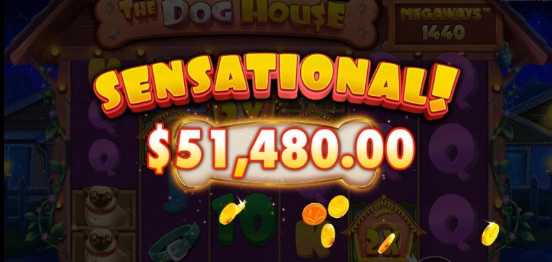 The Dog House Megaways-тегі Wild-көбейткіштері бар ұтыс комбинацияларының мысалдары