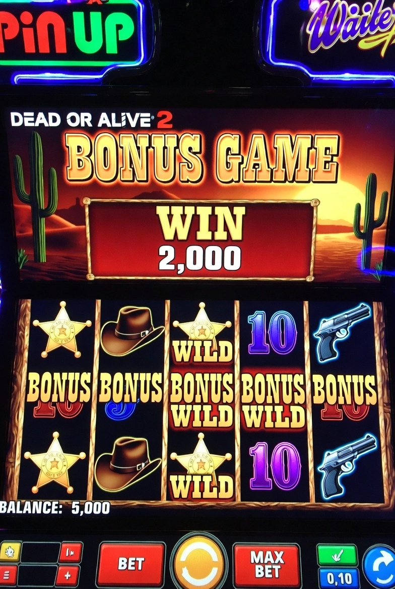 Pin-Up платформасында Dead or Alive 2 бонустық ойынындағы ірі ұтыс мысалы